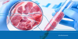 Carne cultivada é a proteína do futuro